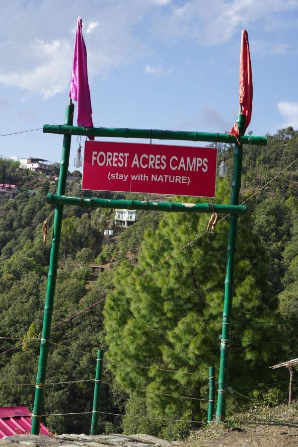 Forest Acres Camps 穆克缇斯瓦 外观 照片